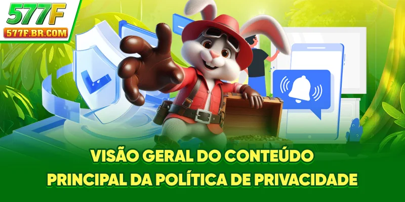 Visão geral do conteúdo principal da Política de Privacidade